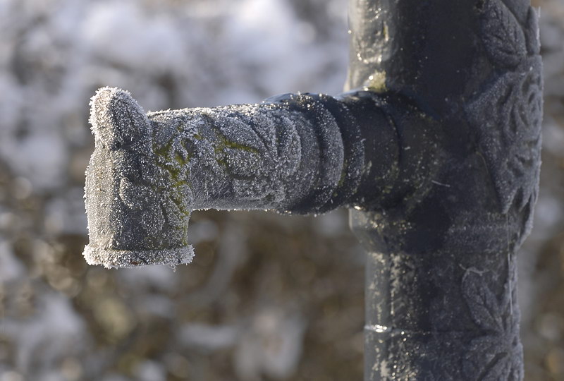 Winter _DDC8890 Kopie.jpg